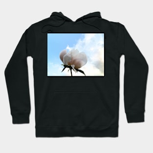 Sky Kisser Hoodie